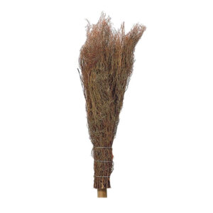 SCOPA ERICA