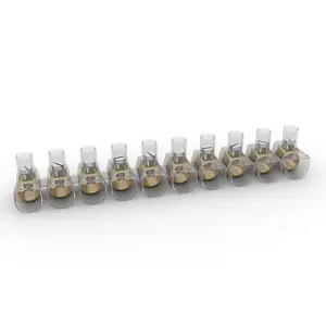 MORSETTO ELETTRICI MM. 2.5 PZ. 10