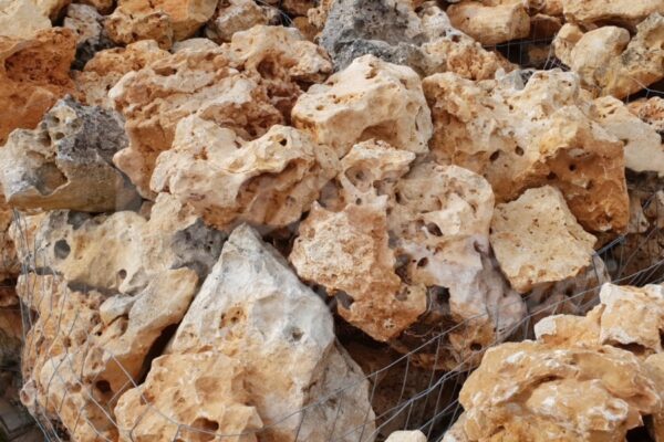 TRANI ROCCIA ORNAMENTALE GRANDE