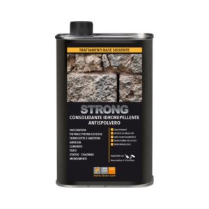 STRONG LT. 1 consolidante p/pietra e mattoni