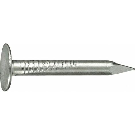 CHIODI TESTA LARGA MM. 17X25 KG. 1